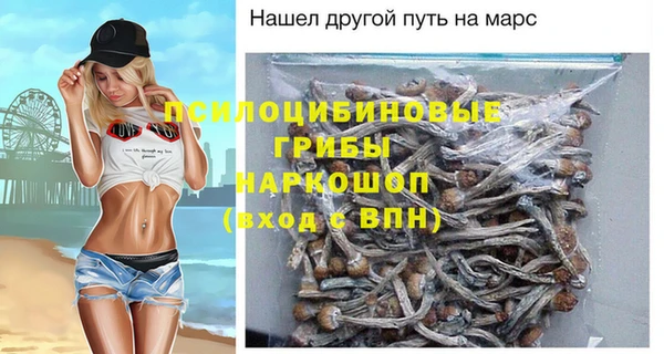 гидропоника Алзамай