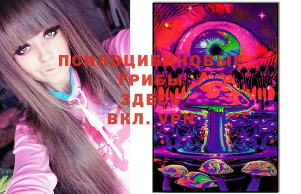 гидропоника Алзамай