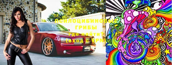 молекула духа Алексеевка